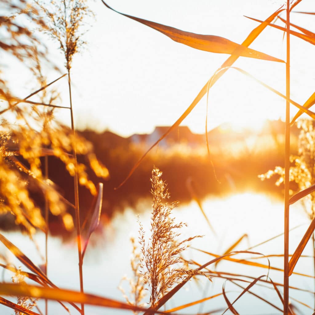 Paysage donnant une lumineuse inspiration.